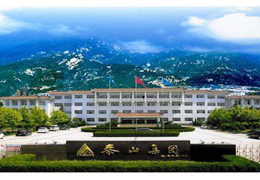 泰山集团